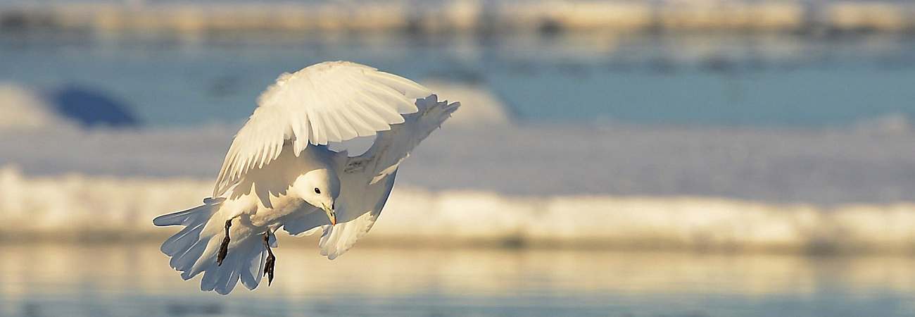 Foto: PolarQuest